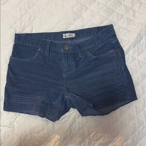Carve Designs Blue corduroy Shorts for Women